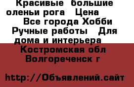 Красивые  большие оленьи рога › Цена ­ 3 000 - Все города Хобби. Ручные работы » Для дома и интерьера   . Костромская обл.,Волгореченск г.